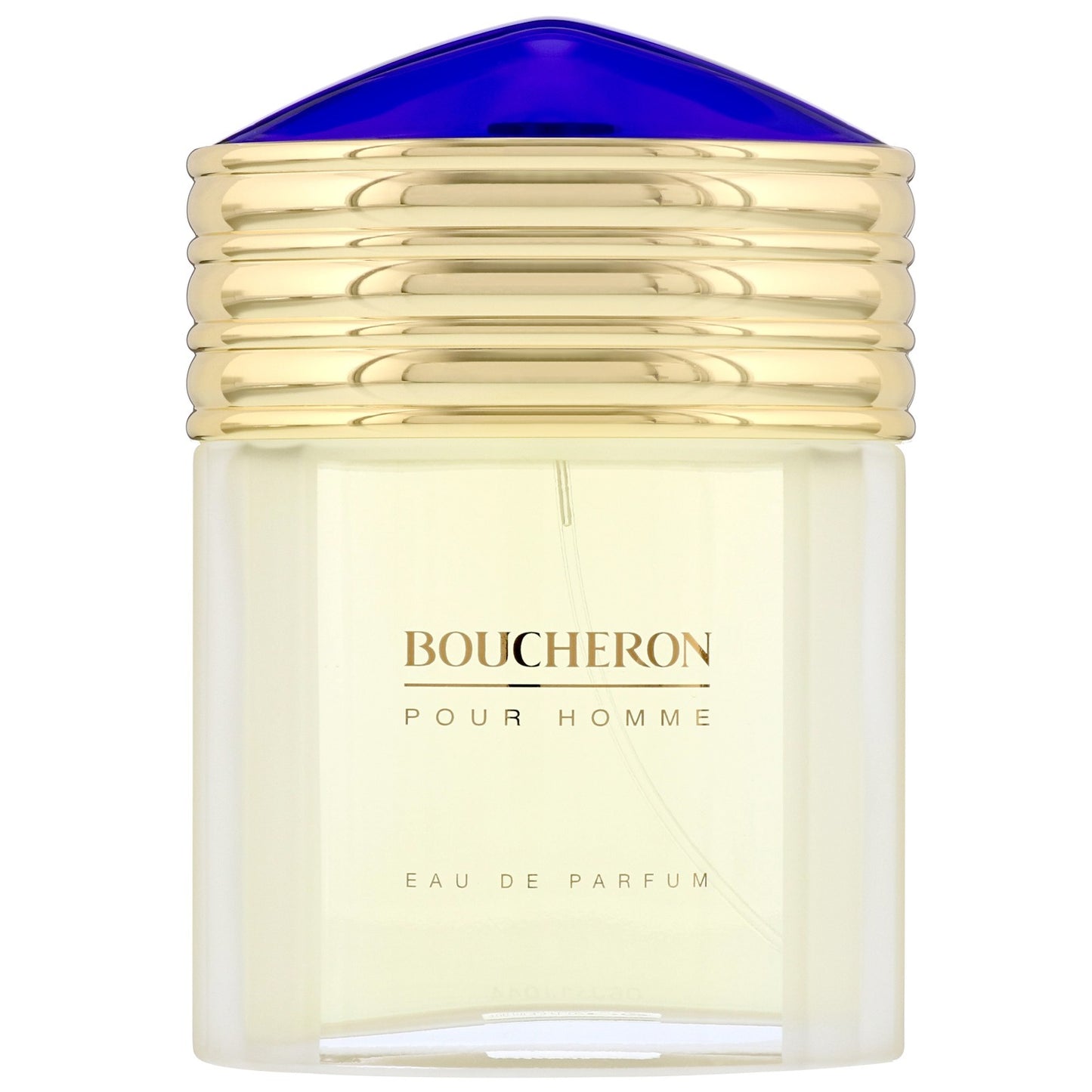 Boucheron, Boucheron, Apă de toaletă, Pentru bărbați, 100 ml